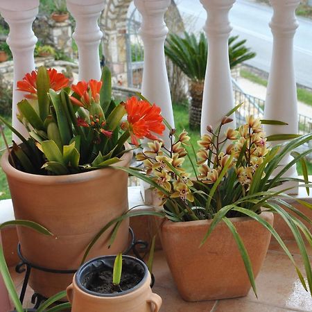 Апартаменты Amaryllis House Парга Экстерьер фото