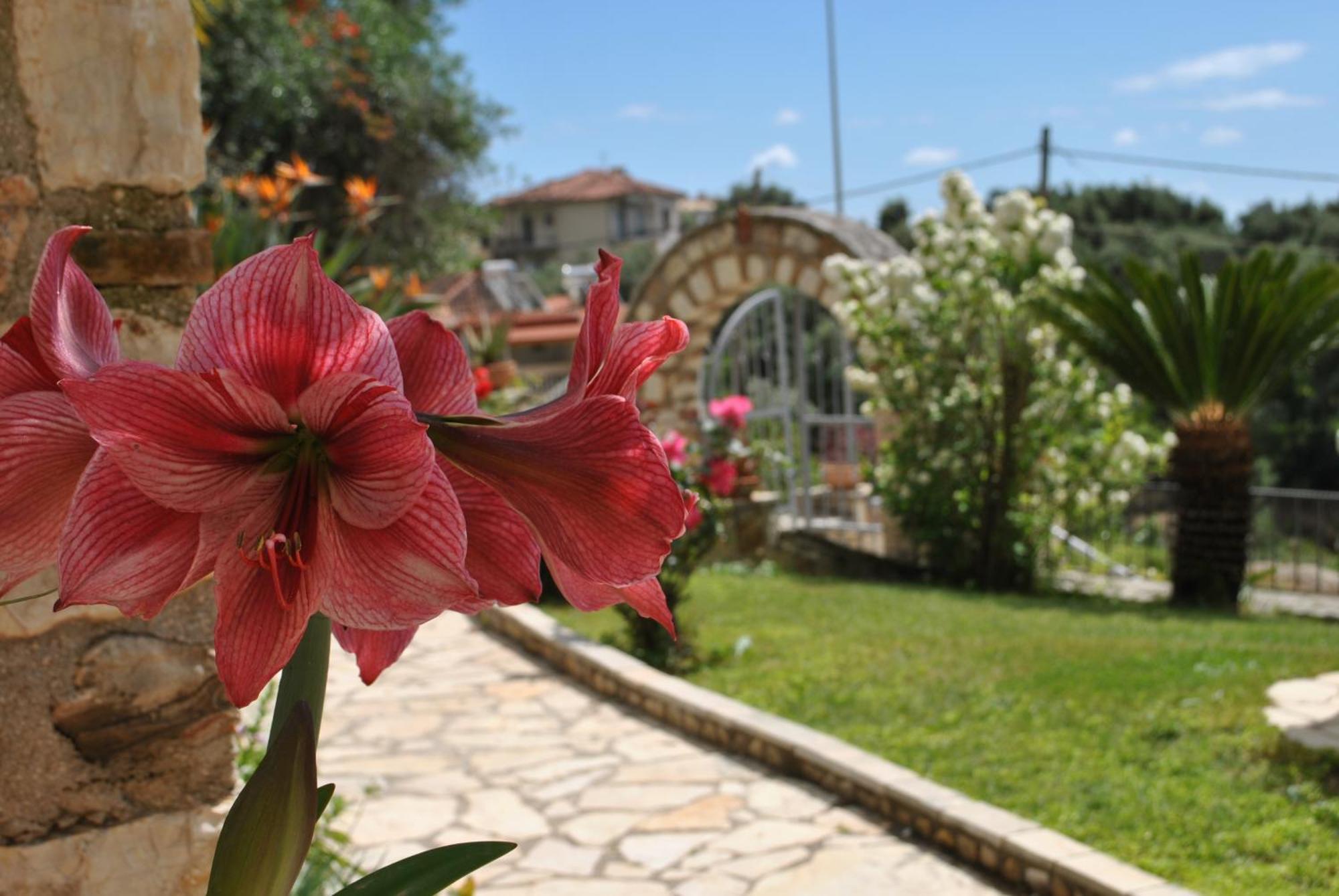Апартаменты Amaryllis House Парга Экстерьер фото
